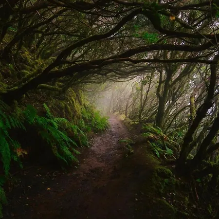 Eden Oasis Penthouse In Cruz Appartamento Santa Cruz de Tenerife