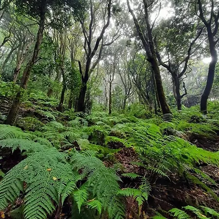Eden Oasis Penthouse In Cruz Santa Cruz de Tenerife