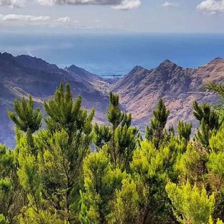 Eden Oasis Penthouse In Cruz Διαμέρισμα *