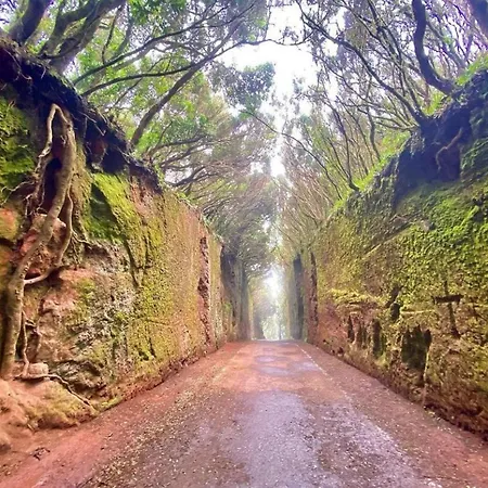 Eden Oasis Penthouse In Cruz * Σάντα Κρουζ Τενερίφης